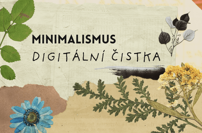 Digitální čistka💻