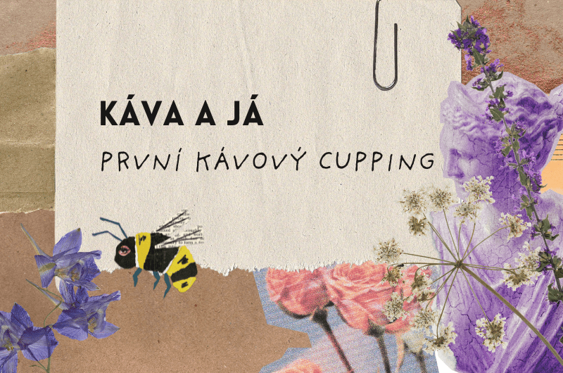 První kávový cupping☕