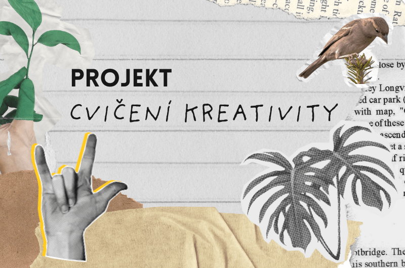 Cvičení kreativity✨