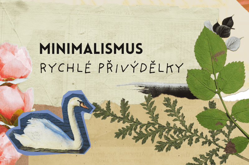 Jak si přivydělat: platformy na vyplňování&nbsp;dotazníků